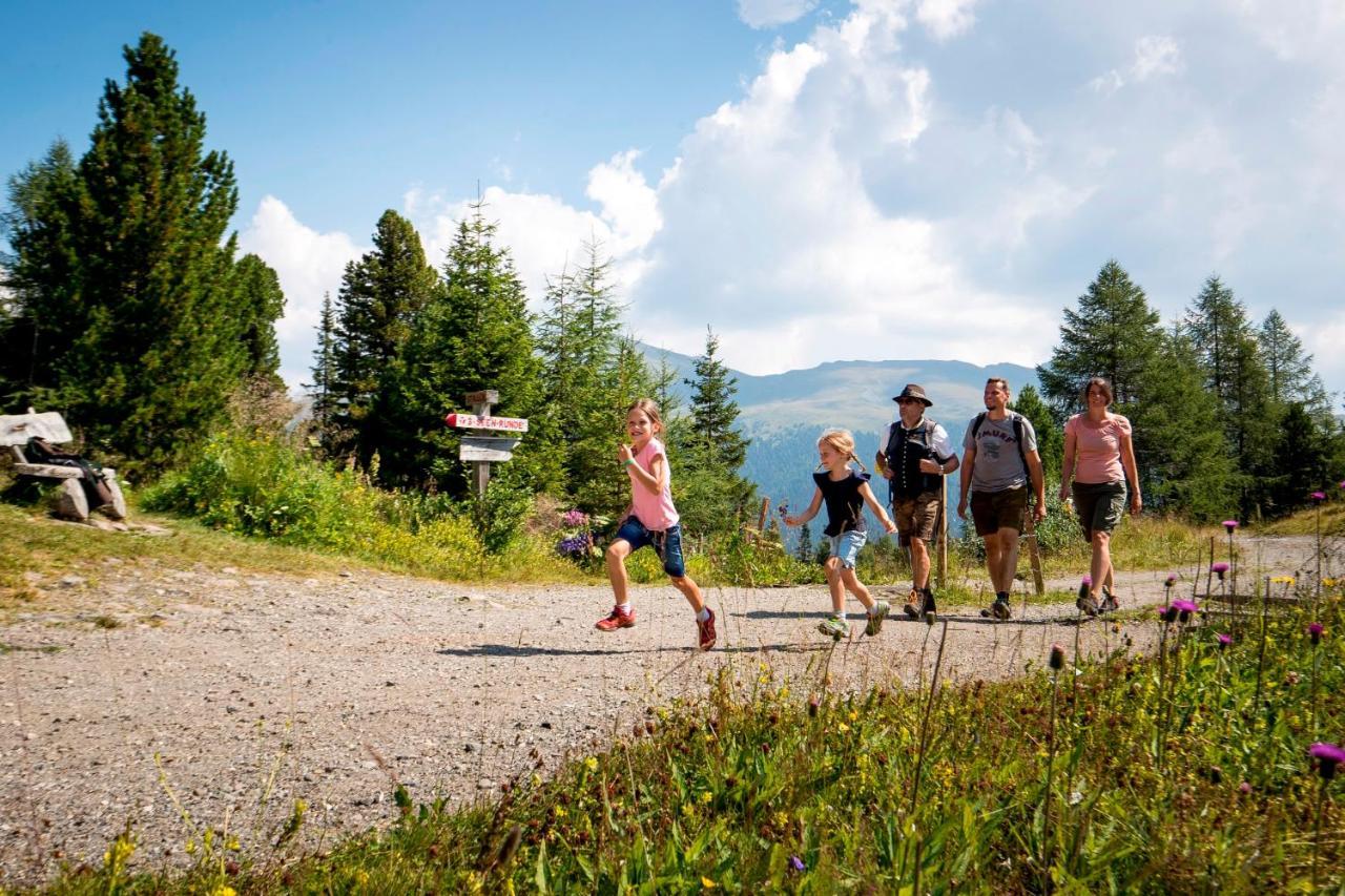 Naturpark Huette Mandl, Biobauernhof & Huettenurlaub Sankt Lambrecht Buitenkant foto