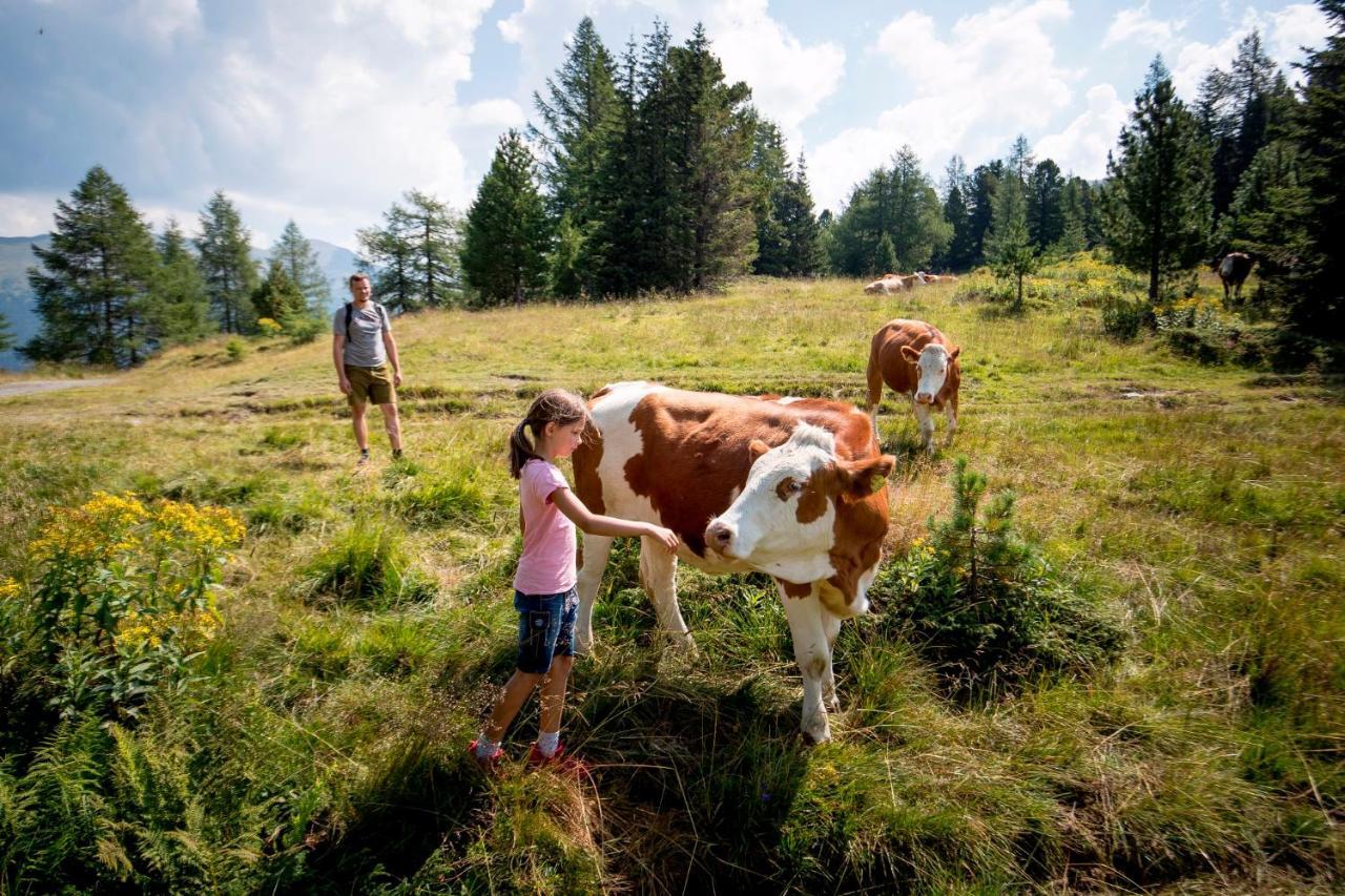 Naturpark Huette Mandl, Biobauernhof & Huettenurlaub Sankt Lambrecht Buitenkant foto