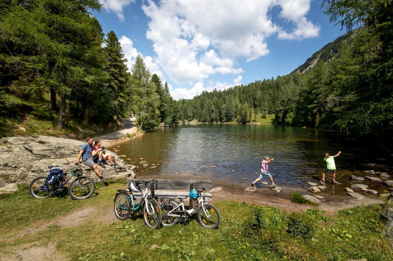 Naturpark Huette Mandl, Biobauernhof & Huettenurlaub Sankt Lambrecht Buitenkant foto