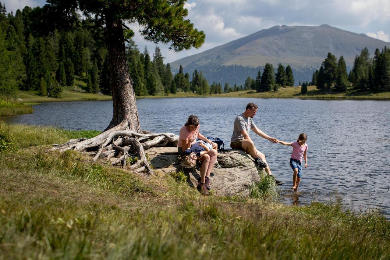 Naturpark Huette Mandl, Biobauernhof & Huettenurlaub Sankt Lambrecht Buitenkant foto
